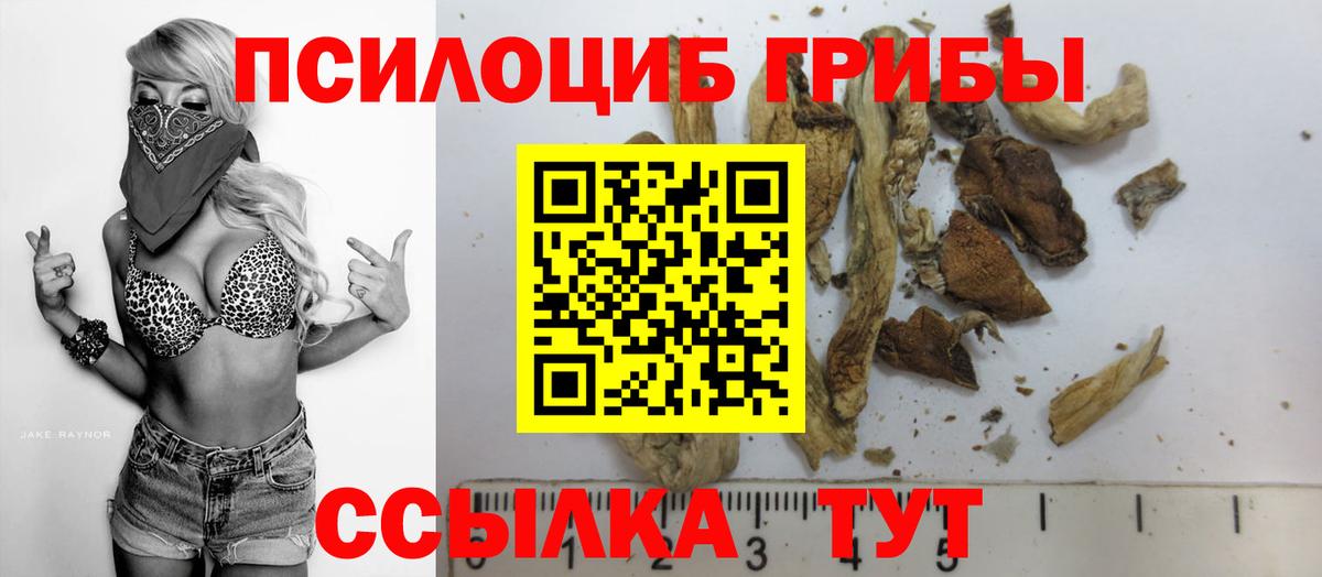 Мценск  Галлюциногенные грибы Magic Shrooms  Вход с VPN 